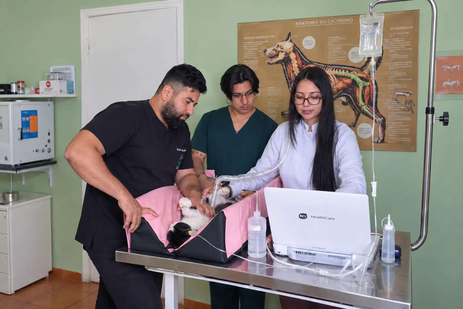 Consultório 2 da Mill'S VET